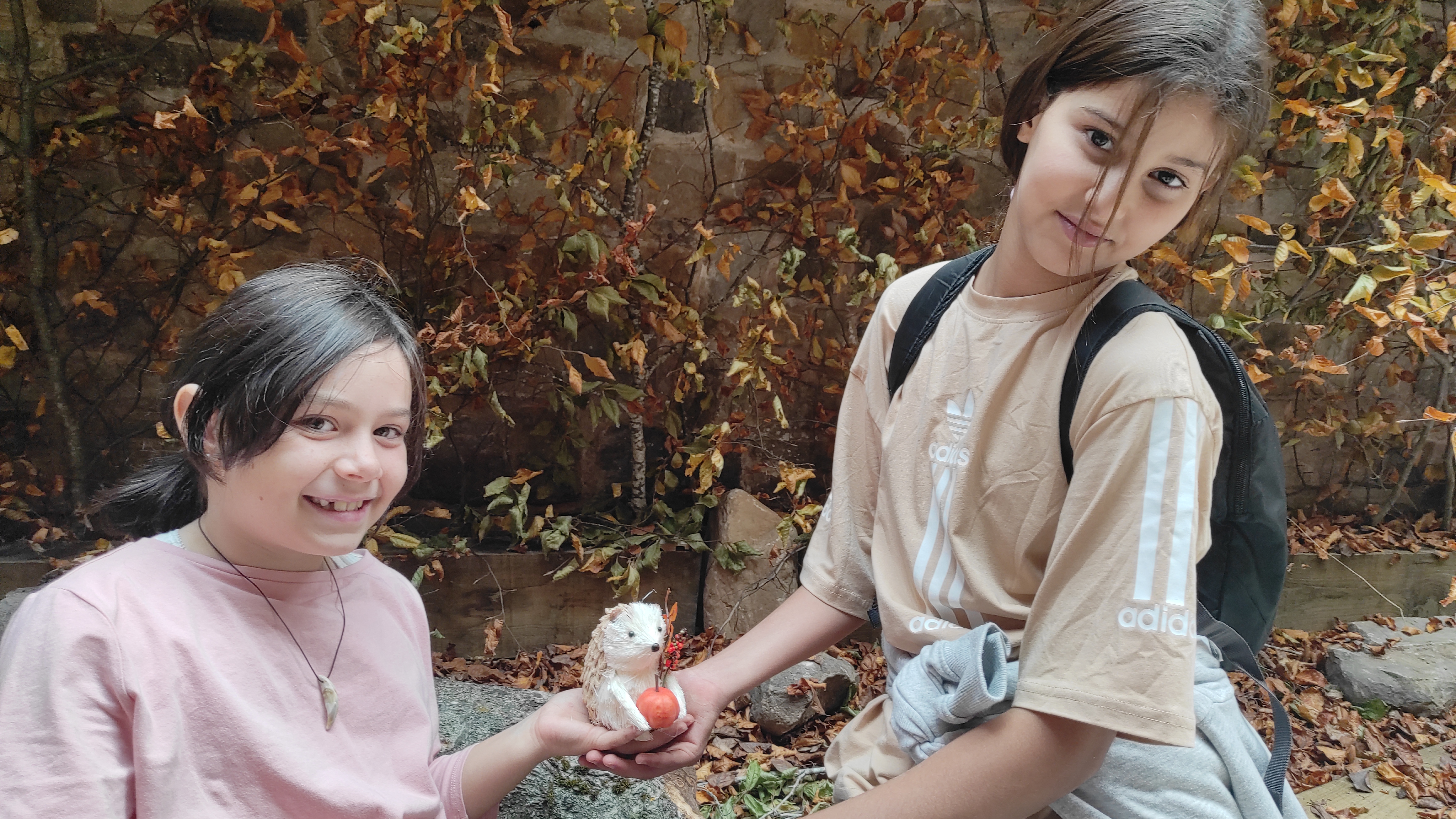 Copia de IMG_20251030_122547.jpg